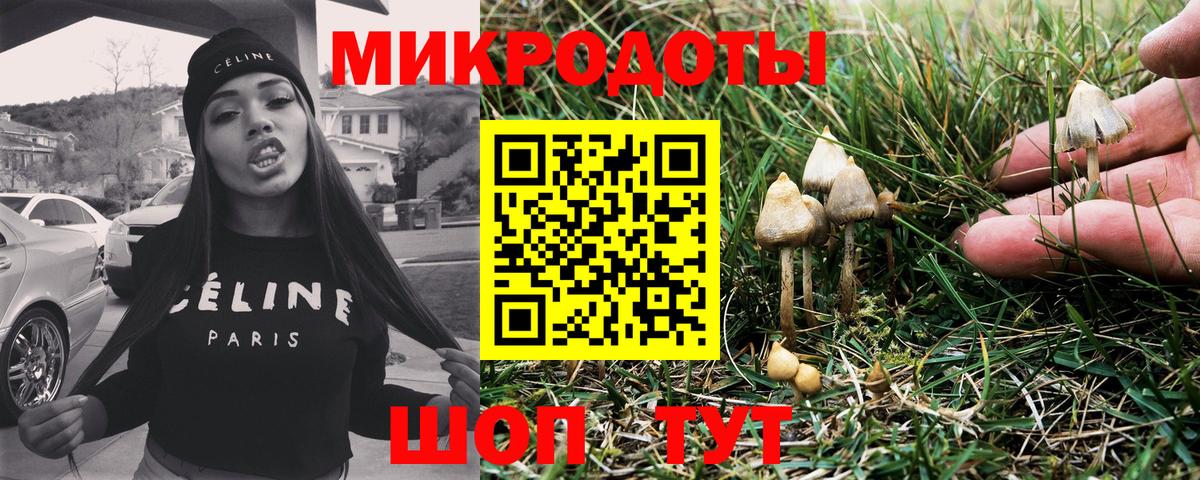 Псилоцибиновые грибы Psilocybine cubensis Славянск-на-Кубани